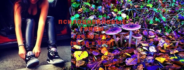 эйфоретик Усмань