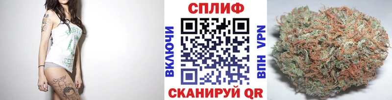 Канабис сатива  Купить  Новоалтайск 